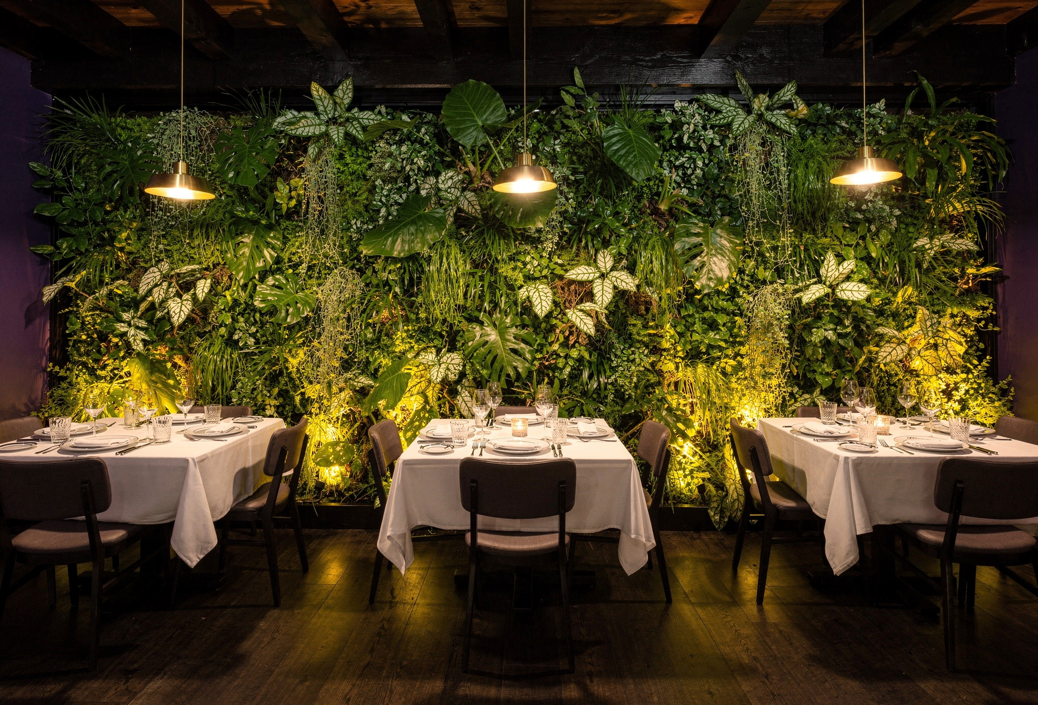 Lüks restoran yemek salonunda hazır masa önündeki tropik bitki duvarı