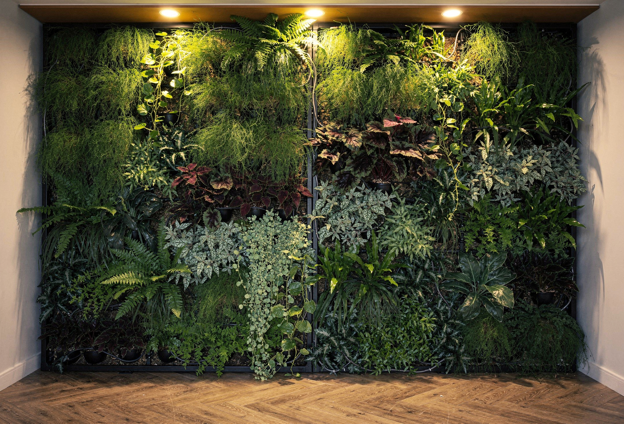 Kurulum sonrası yirmi farklı bitki türüyle kaplı canlı yaşayan duvar